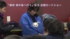 映画とドラマ 猫侍 ちゃんねる Youtube 映画とドラマ 猫侍 ちゃんねる Youtube