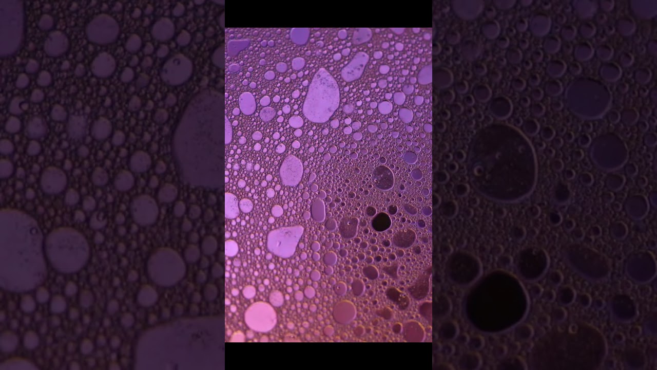 The Science Behind What Rusts Metal