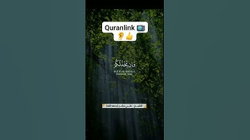 تلاوة للشيخ علي جابر(رحمه الله) #اكسبلور Quranlintv 💖followlikeandahare