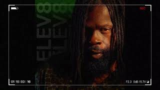 Bling Dawg - Married To Music