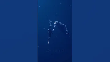 Diving With The Ningen Shorts Horror Thalassophobia 