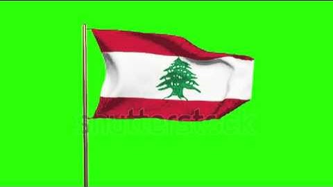 Lebanon flag waving in the wind. Green screen, alpha matte. Loopable animation Stock video by