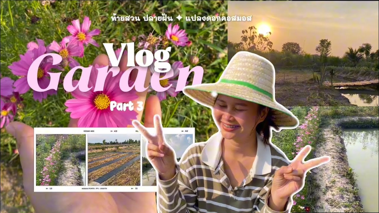 Vlog บ้านสวน | ลงเมล็ดดอกไม้แล้ว ✨🌸🌷💚