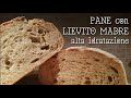 PANE con LIEVITO MADRE ad alta idratazione 80%