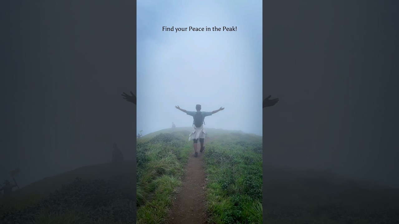 Find your Peace in the Peak🪽 📍Chokramudi Peak, Idukki #mountain #adventure #trekking #peace