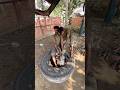 Watch how they take out the hidden steel belt from inside old bus and truck tires! #foryou  #viral