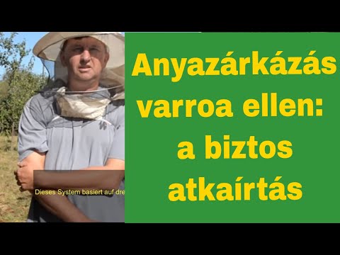 Petés anyanevelés