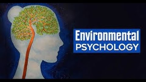 PSY511 Environmental Psychology Lecture 38 by psychology Students Channel.