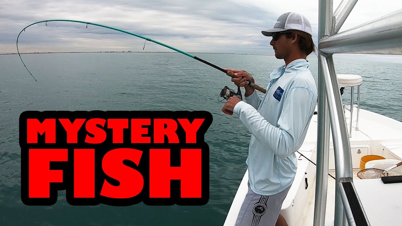 Big Fish Hooked - Game On!