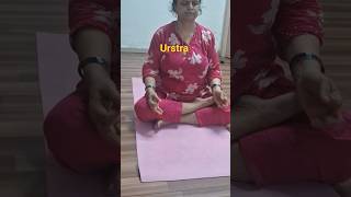 usterasana #shorts #shortfeed #youtube #ytstudio #short #lifestyle yoga studio