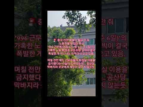 💥 중국 현지 SNS에 올라오자마자 순식간에 차단·삭제되고 있는 영상