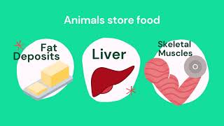 CSEC Review Biology - Module 3 - Topic 14 - Food Storage