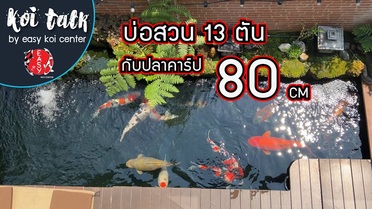 พาเยี่ยมบ่อขนาด 13 ตันที่เลี้ยงปลาได้ถึง 80 เซ็นต์ อะเมซิ่งจริงๆครับ