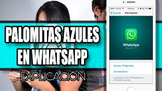 Palomitas azules en whatsapp | WhatsApp te avisa cuando leen el mensaje