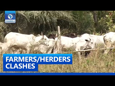 Residents Want Govt. To Check Activities Of Rampaging Herdsmen