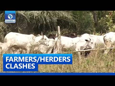 Residents Want Govt. To Check Activities Of Rampaging Herdsmen