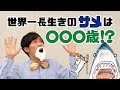 【歌ってみた】さかな絵本♪江戸時代から生きてるサメ!?️