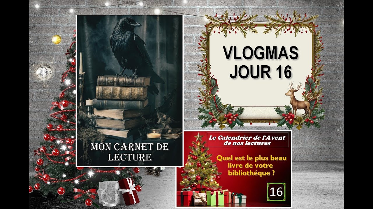 Vlogmas 16 : Mon Carnet de Lecture 2024 ! 