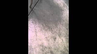 VID 20110819 00005