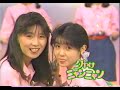 おニャン子クラブ  「猫舌ごころも恋のうち」 1986