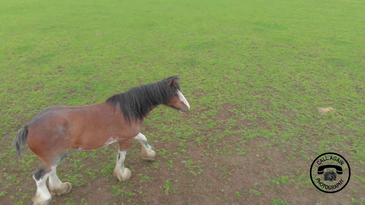 Balmalcolm July 2020