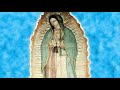 Melodia celestial para orar  descubierta en el manto de la virgen  de guadalupe