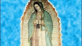 Melodia Celestial para orar,  descubierta en el manto de la Virgen  de Guadalupe