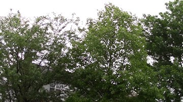 Ecks Quadcopter with Flip 1.5 Maiden