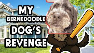 My Dog Gets REVENGE on me! SO ANGRY!