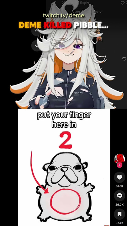 Deme Accidentally Ended Pibble 🐶💥