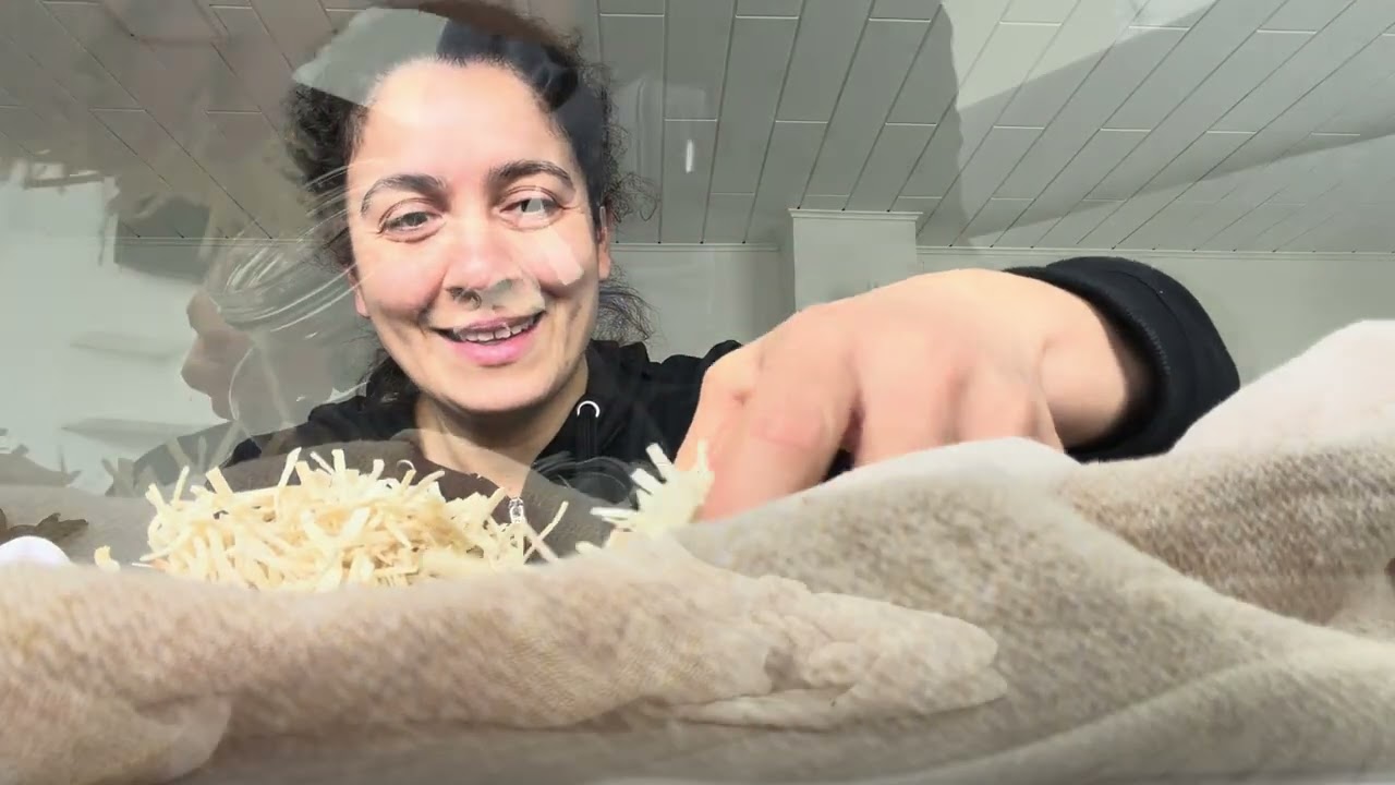 📌Vlog 213‼️Kendimden Utanıyorum⁉️Kız kardeşimin Hediyesi⁉️Nefesimi Kesiyor⁉️Elim Yüzüm Şişti‼️