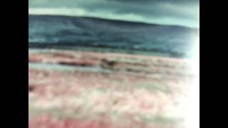 From  Clare  To  Here.  sung  by  RICHARD CARNEY ,CLAREMORRIS, CO MAYO IRELAND