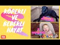 KÖPEKLİ VE BEBEKLİ HAYAT/ Vina Ek Gıdaya Başladı! Ev Yapımı Yoğurt...