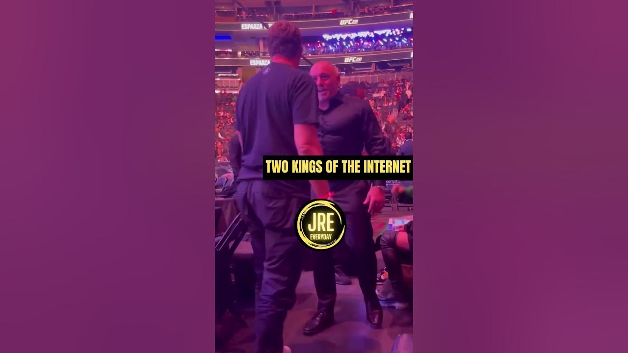 Joe Rogan Dave Portnoy podcast! Together at UFC! YouTube