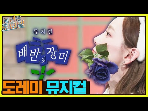 [레전드 포포몬쓰] 거의 {<strong>캣츠</strong>}급 고퀄리티! 도레미 합동 <strong>뮤지컬</strong> 가보자고✨#놀라운토요일 | amazingsaturday EP.232 | tvN 221001 방송