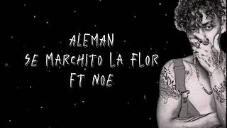 ALEMAN// LETRA - SE MARCHITO LA FLOR FT NOE