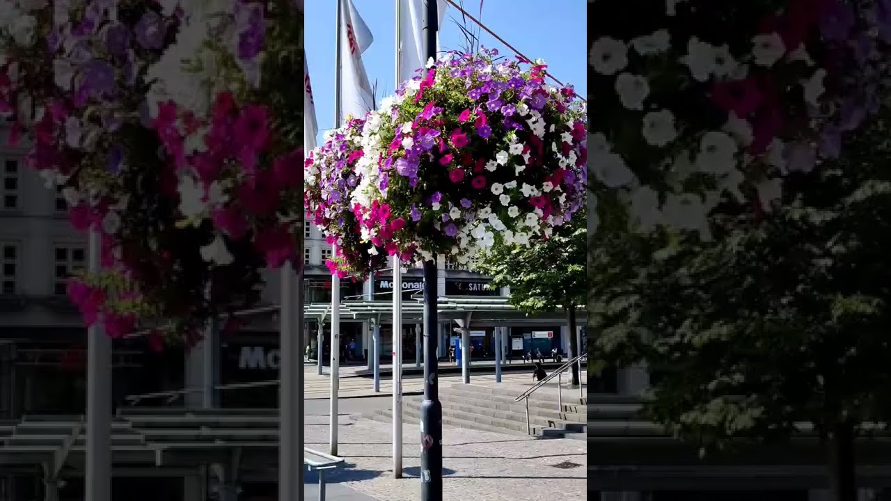 Saarland, Germany travel | 