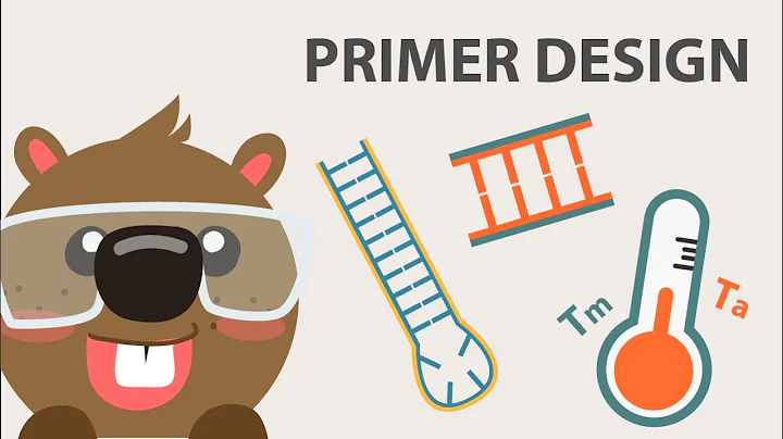 Primer Design: Important Considerations and Tips for Good Primer Design
