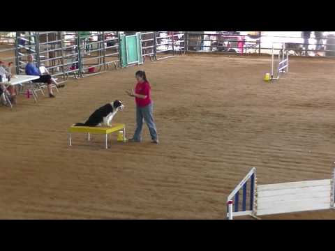 deep south obedience