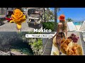 Cancn mexico travel vlog  through a raw lens  nightlife  excursions  turtles