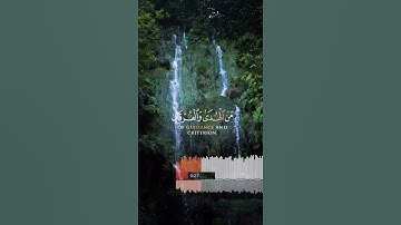 حالات واتس اب دينية❤️ //مقاطع قرآن كريم انستقرام دينية💙 //ستوريات إنستغرام 🌼