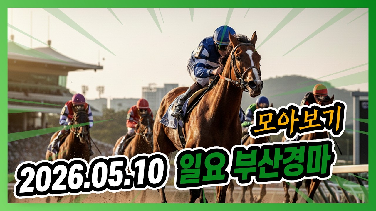 2026년 5월 10일 일요 부산경마 전체경주 모아보기
