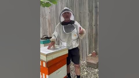 A beekeeper