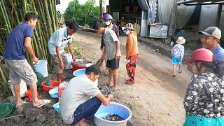 Tr Li Cuc Sng Thng Ngy Rn Rng Ngy Bn C u Nm 2026  Nt Qu 654