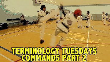 Terminology Tuesday - Commands in Class Part 2