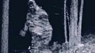Ohio Claim 3 bigfoot Night hunt