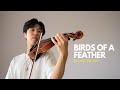 BIRDS OF A FEATHER Billie Eilish Violin Cover Bridgerton Style Eric Kim BIRDS OF A FEATHER Billie Eilish Violin Cover Bridgerton Style Eric Kim