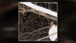 Vandalism - Die