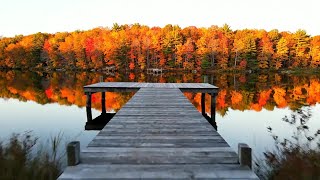 Celtic Bard Music and Celtic Harp Music – Relaxing Medieval Fantasy Instrumentals