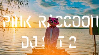 PINK RACCOON | Indie dance dj set - PINKY WAY #2